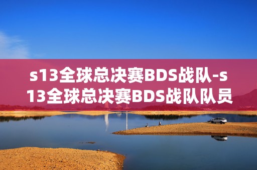 s13全球总决赛BDS战队-s13全球总决赛BDS战队队员介绍，燃爆电竞圈的焦点