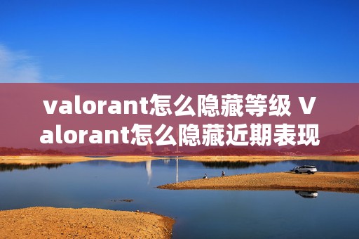 valorant怎么隐藏等级 Valorant怎么隐藏近期表现