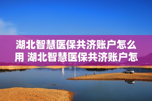 湖北智慧医保共济账户怎么用 湖北智慧医保共济账户怎么用啊