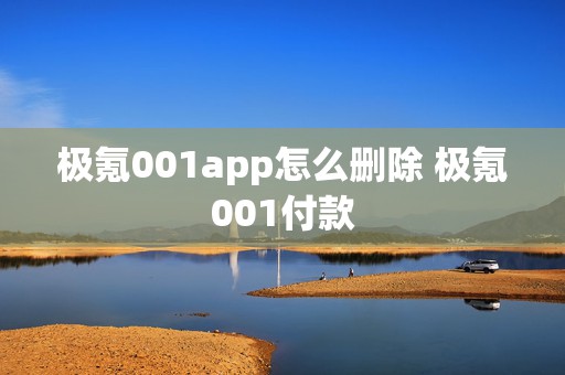 极氪001app怎么删除 极氪001付款