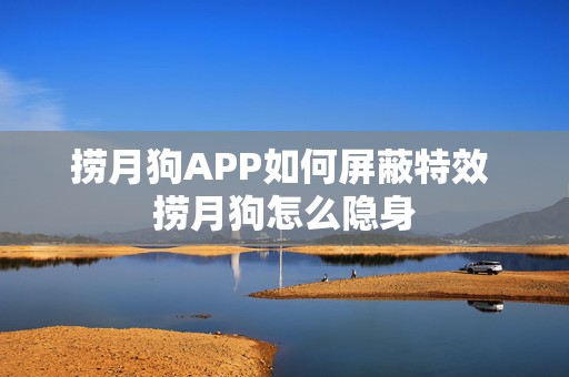 捞月狗APP如何屏蔽特效 捞月狗怎么隐身