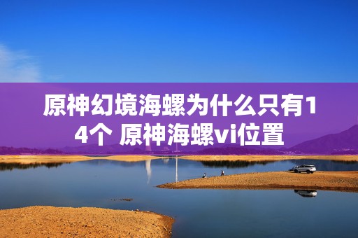 原神幻境海螺为什么只有14个 原神海螺vi位置