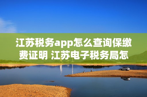 江苏税务app怎么查询保缴费证明 江苏电子税务局怎么查社保缴费明细