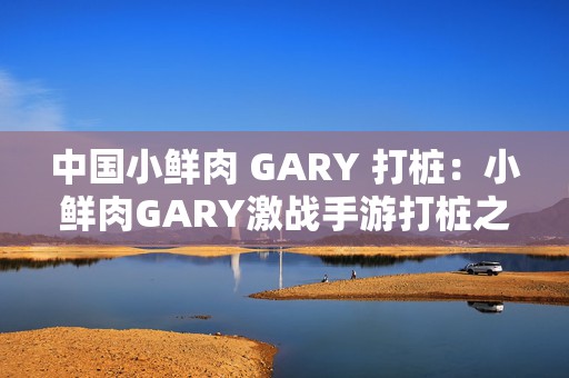 中国小鲜肉 GARY 打桩：小鲜肉GARY激战手游打桩之旅