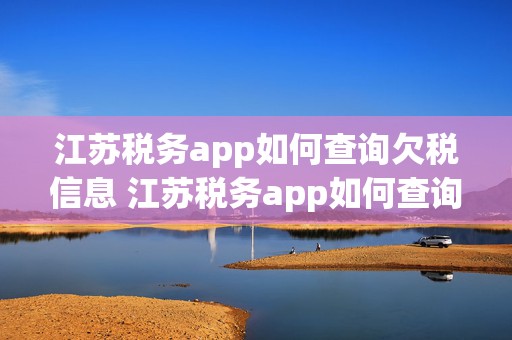 江苏税务app如何查询欠税信息 江苏税务app如何查询欠税信息表