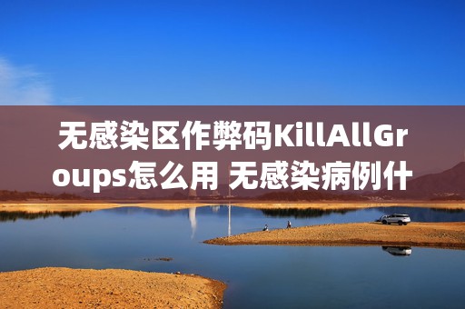 无感染区作弊码KillAllGroups怎么用 无感染病例什么意思