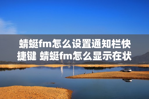 蜻蜓fm怎么设置通知栏快捷键 蜻蜓fm怎么显示在状态栏