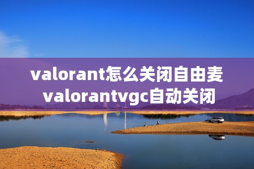 valorant怎么关闭自由麦 valorantvgc自动关闭