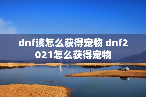 dnf该怎么获得宠物 dnf2021怎么获得宠物