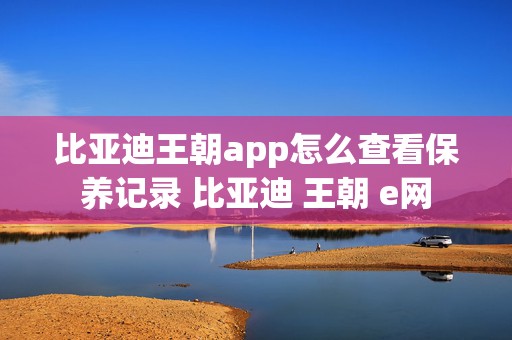 比亚迪王朝app怎么查看保养记录 比亚迪 王朝 e网