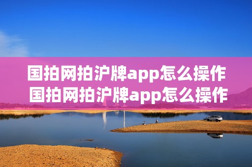 国拍网拍沪牌app怎么操作 国拍网拍沪牌app怎么操作流程