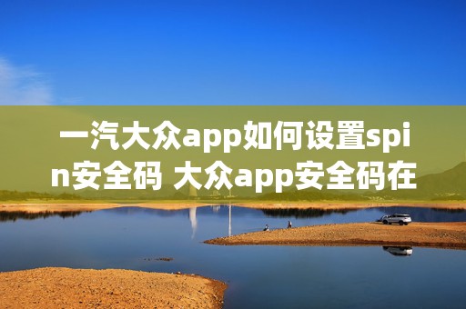 一汽大众app如何设置spin安全码 大众app安全码在哪