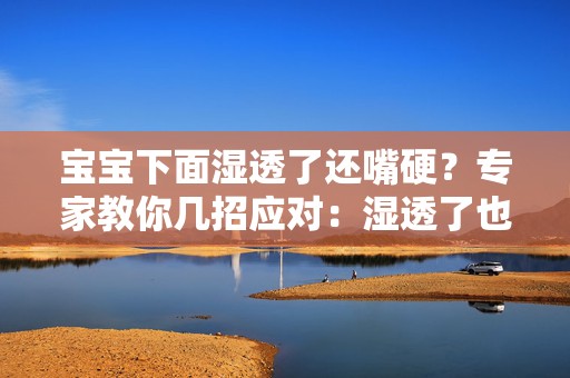 宝宝下面湿透了还嘴硬？专家教你几招应对：湿透了也不认错？专家教你手游策略应对宝宝情绪问题