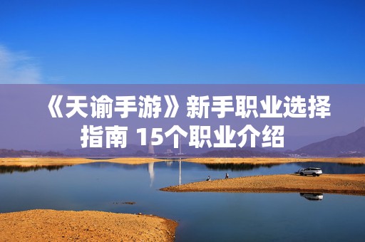 《天谕手游》新手职业选择指南 15个职业介绍