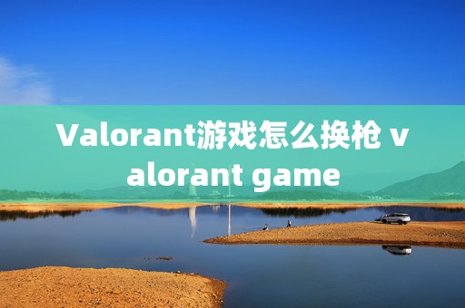 Valorant游戏怎么换枪 valorant game