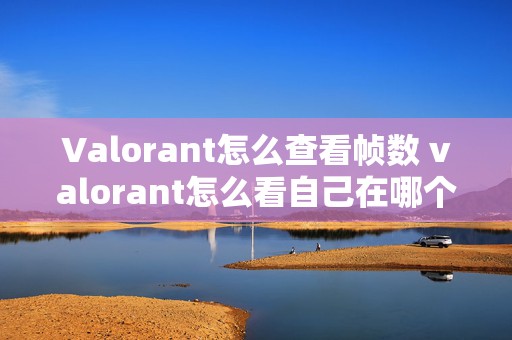 Valorant怎么查看帧数 valorant怎么看自己在哪个服务器