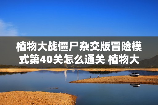 植物大战僵尸杂交版冒险模式第40关怎么通关 植物大战僵尸冒险模式4-1怎么过