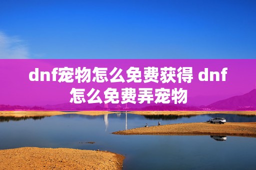 dnf宠物怎么免费获得 dnf怎么免费弄宠物