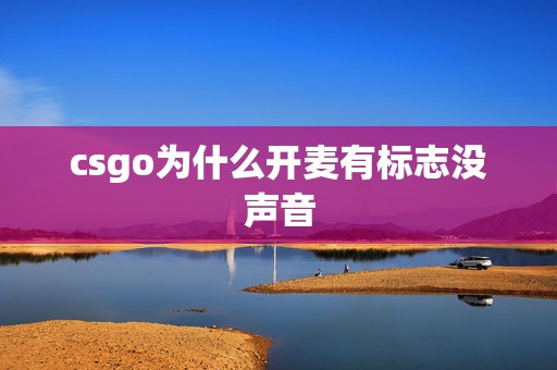 csgo为什么开麦有标志没声音