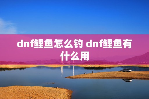 dnf鲤鱼怎么钓 dnf鲤鱼有什么用