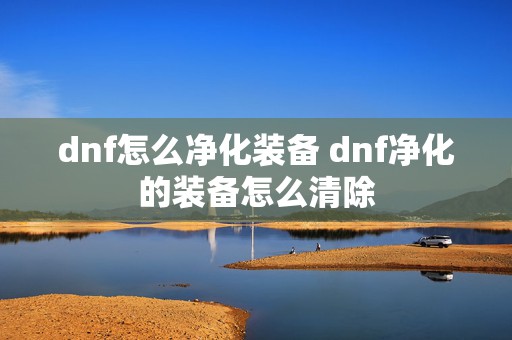 dnf怎么净化装备 dnf净化的装备怎么清除