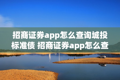 招商证券app怎么查询城投标准债 招商证券app怎么查询城投标准债券