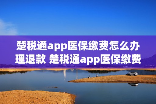 楚税通app医保缴费怎么办理退款 楚税通app医保缴费怎么办理退款流程