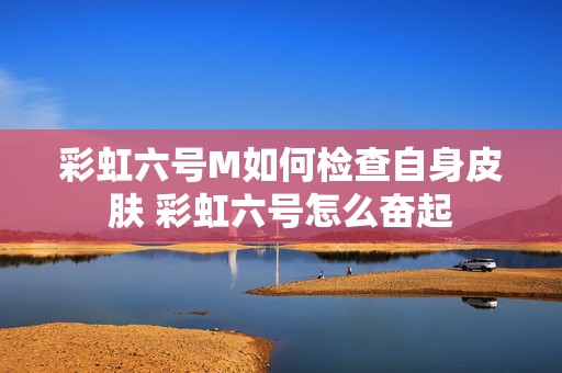 彩虹六号M如何检查自身皮肤 彩虹六号怎么奋起