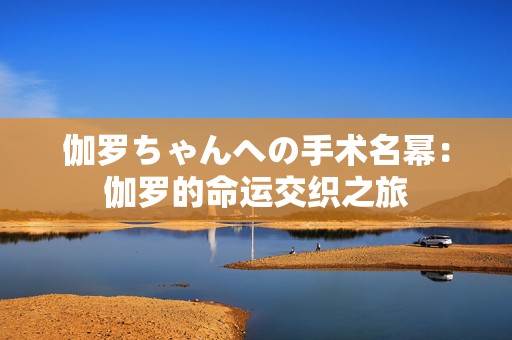 伽罗ちゃんへの手术名幂：伽罗的命运交织之旅