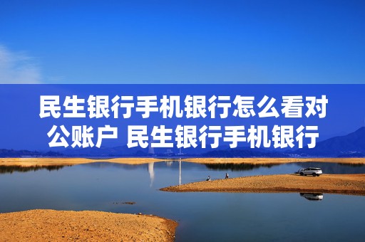 民生银行手机银行怎么看对公账户 民生银行手机银行怎么看对公账户信息