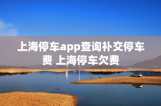 上海停车app查询补交停车费 上海停车欠费