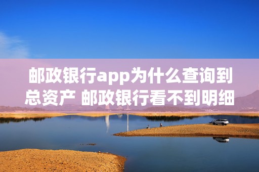 邮政银行app为什么查询到总资产 邮政银行看不到明细