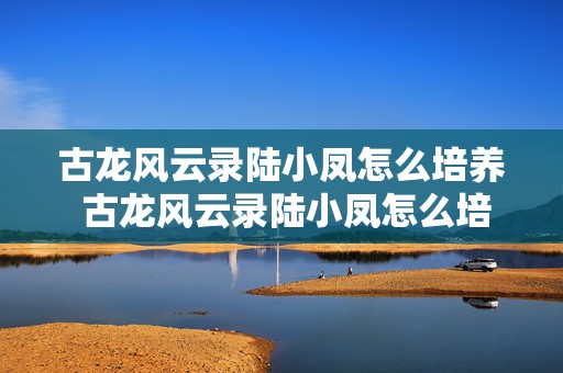 古龙风云录陆小凤怎么培养 古龙风云录陆小凤怎么培养出来的