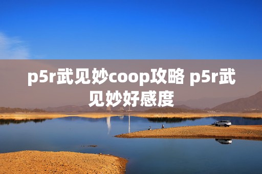 p5r武见妙coop攻略 p5r武见妙好感度