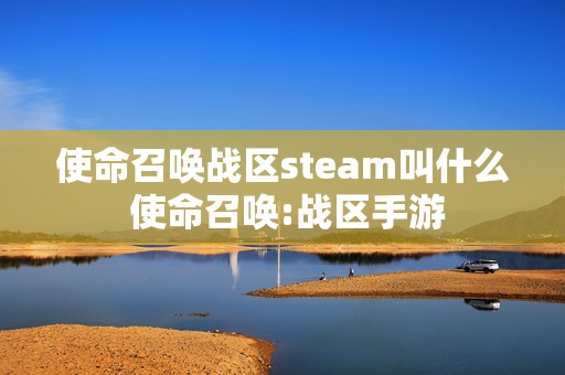 使命召唤战区steam叫什么 使命召唤:战区手游