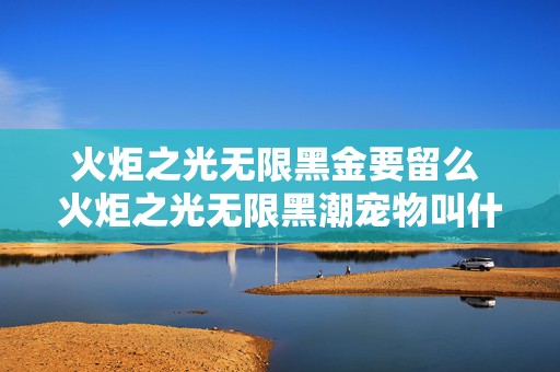 火炬之光无限黑金要留么 火炬之光无限黑潮宠物叫什么名字