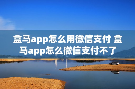 盒马app怎么用微信支付 盒马app怎么微信支付不了