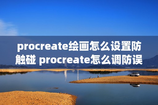 procreate绘画怎么设置防触碰 procreate怎么调防误触