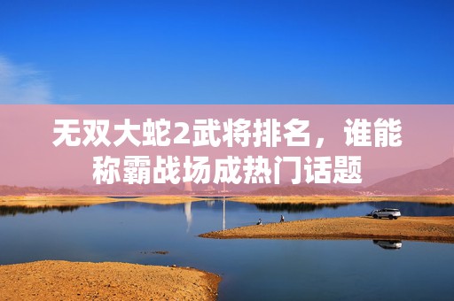 无双大蛇2武将排名，谁能称霸战场成热门话题