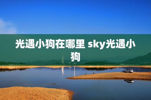 光遇小狗在哪里 sky光遇小狗