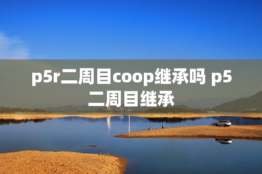 p5r二周目coop继承吗 p5二周目继承