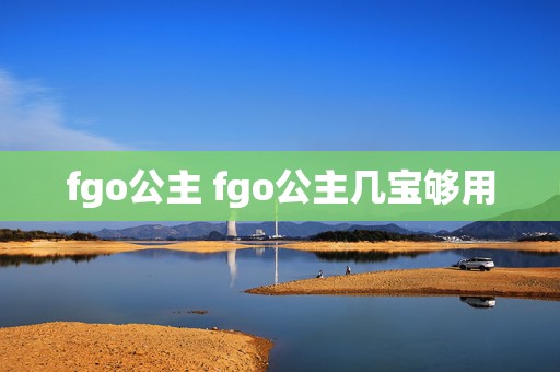 fgo公主 fgo公主几宝够用