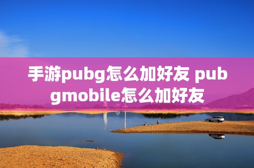 手游pubg怎么加好友 pubgmobile怎么加好友