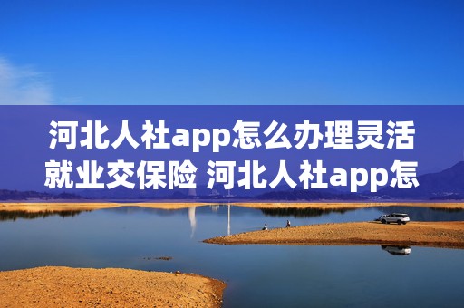 河北人社app怎么办理灵活就业交保险 河北人社app怎么办理灵活就业交保险流程