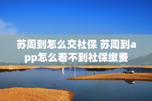 苏周到怎么交社保 苏周到app怎么看不到社保缴费