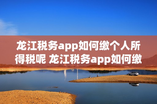 龙江税务app如何缴个人所得税呢 龙江税务app如何缴个人所得税呢