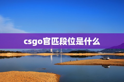 csgo官匹段位是什么