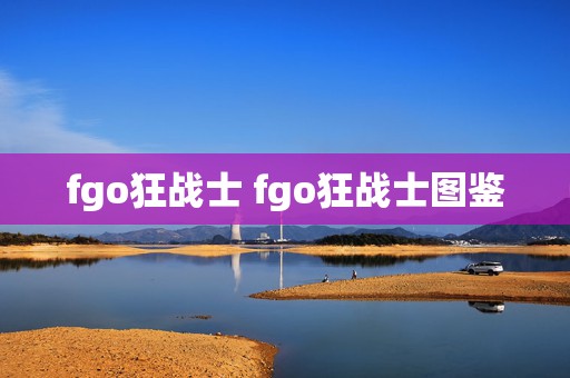 fgo狂战士 fgo狂战士图鉴