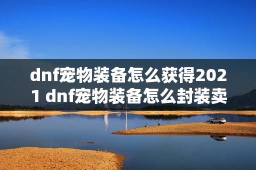 dnf宠物装备怎么获得2021 dnf宠物装备怎么封装卖出去