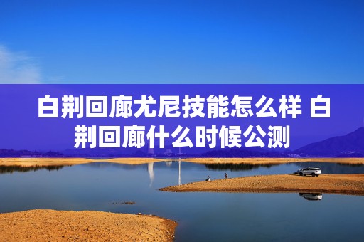 白荆回廊尤尼技能怎么样 白荆回廊什么时候公测